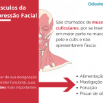 Musculos da Expressao Facial