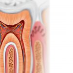 periodontosustentacao