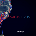 sistema arterial venoso cabeca e pescoco