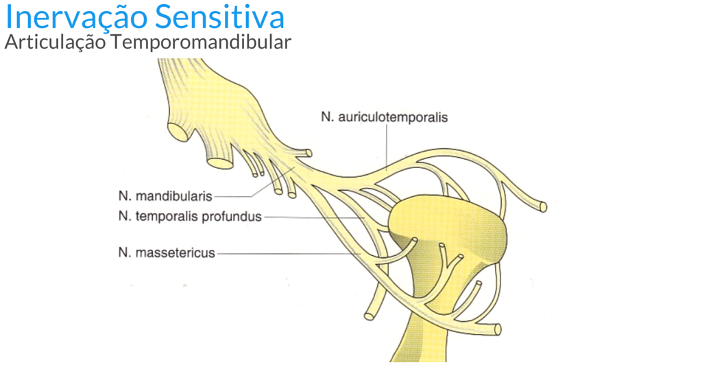 A mandíbula travada está relacionada com problemas na articulação  temporomandibular, conhecida como ATM. O disco articular dessa área pode  entrar em descompasso e se deslocar, o que resulta no incômodo e travamento