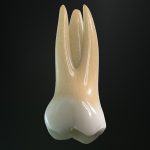 1-molar-300×300