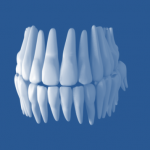 anatomia endodontia